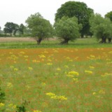 0905F 33 Stendal-Hamburg : elbe